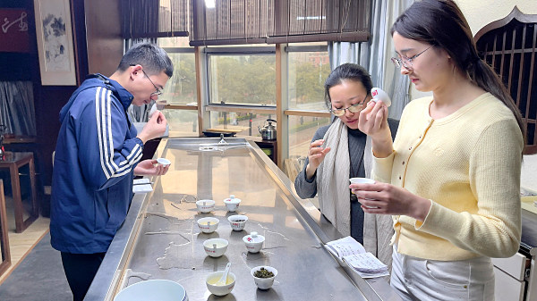 第214期：铁观音香型分类与审评(图3)