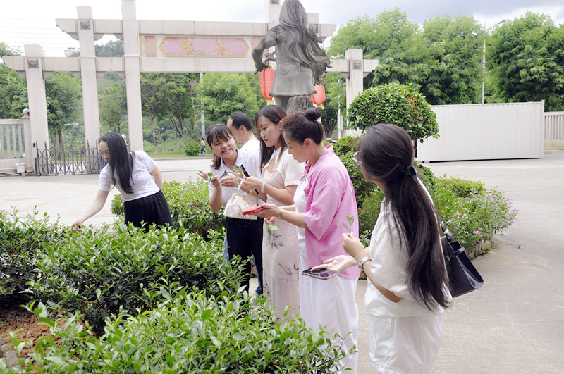 10天从茶小白到合格茶艺师？天晟用19年验证的速成密码被曝光(图4)