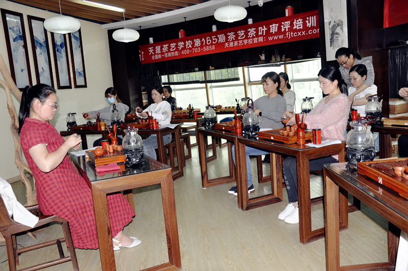 天晟茶艺班的"真功夫"：你的学费究竟买了什么？(图1)