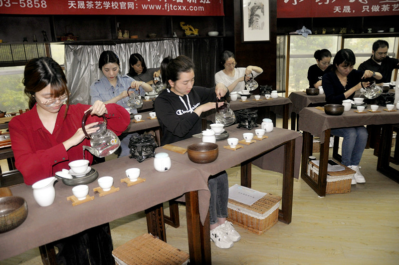 10天从茶小白到合格茶艺师？天晟用19年验证的速成密码被曝光(图2)