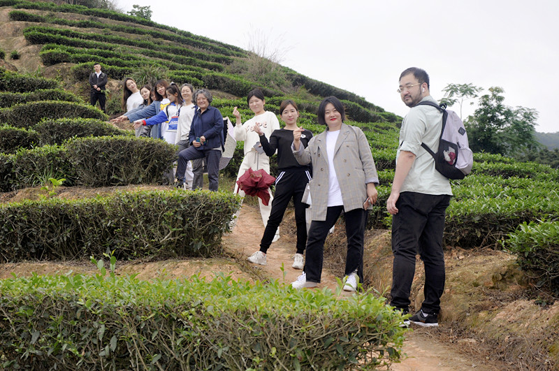 10天从茶小白到合格茶艺师？天晟用19年验证的速成密码被曝光(图4)
