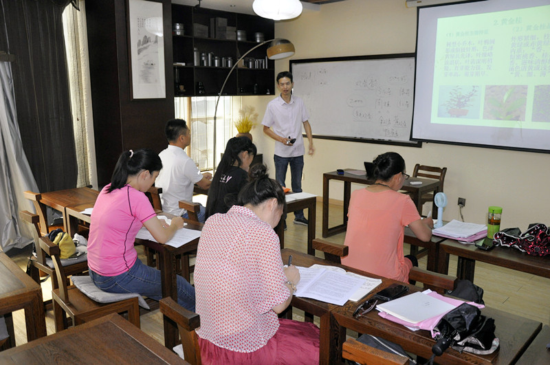 **十天炼成茶艺师？看传统茶文化如何破圈现代培训体系**(图1)