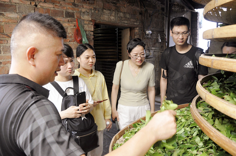 天晟十天的沉浸式茶道修行之旅(图4)