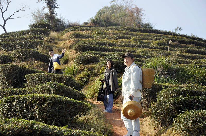天晟十天的沉浸式茶道修行之旅(图5)