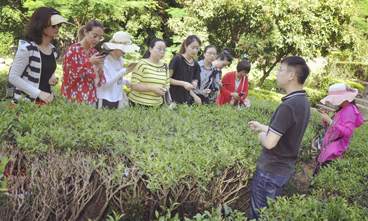 茶艺培训招生简章(图8) 茶艺培训招生简章(图8)