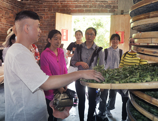 茶艺培训招生简章(图12) 茶艺培训招生简章(图12)