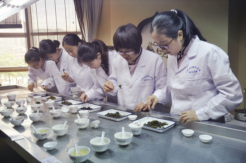 茶艺培训招生简章(图13) 茶艺培训招生简章(图13)