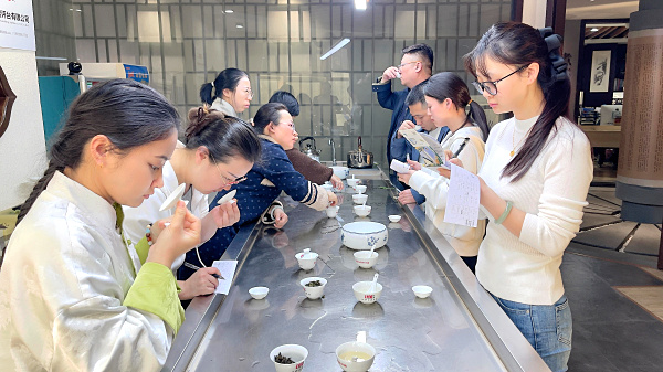 第217期：绿茶的加工与审评、绿茶实践审评(图3)