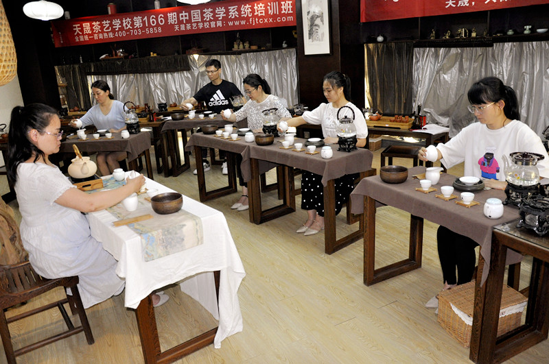 天晟茶学系统培训班‘全面多元化教学’(图2)