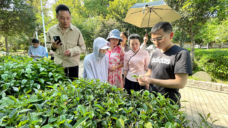 茶圈最大的“谎言”:学茶艺就是为了表演?这家学校火了19年,只因它敢“不卖茶”!(图3) 茶圈最大的“谎言”:学茶艺就是为了表演?这家学校火了19年,只因它敢“不卖茶”!(图3)