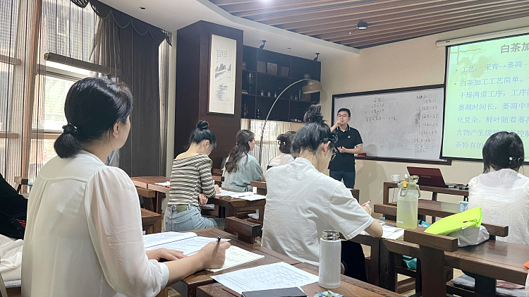 10天，从“看热闹”到“懂门道”：天晟茶艺，只为培养真正的中国茶人(图3)
