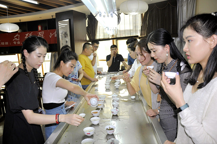 纯粹茶心,十天蜕变(图3) 纯粹茶心,十天蜕变(图3)