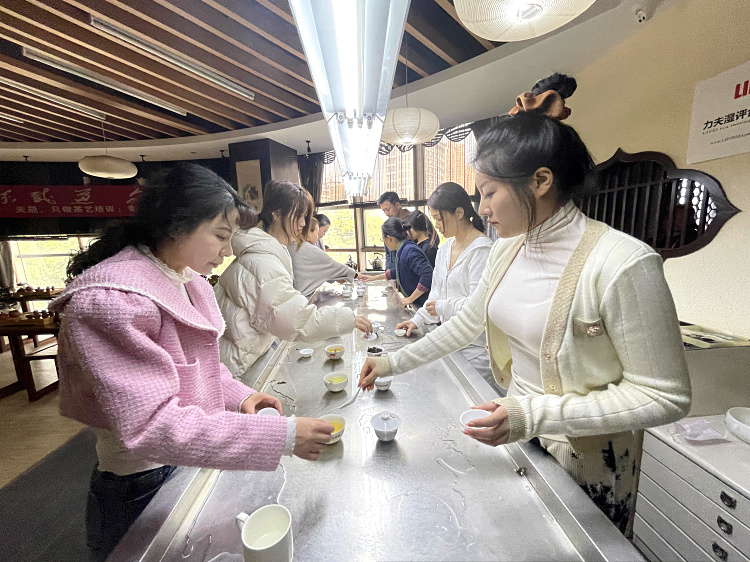 拒绝套路,十天掌握真茶艺(图2) 拒绝套路,十天掌握真茶艺(图2)