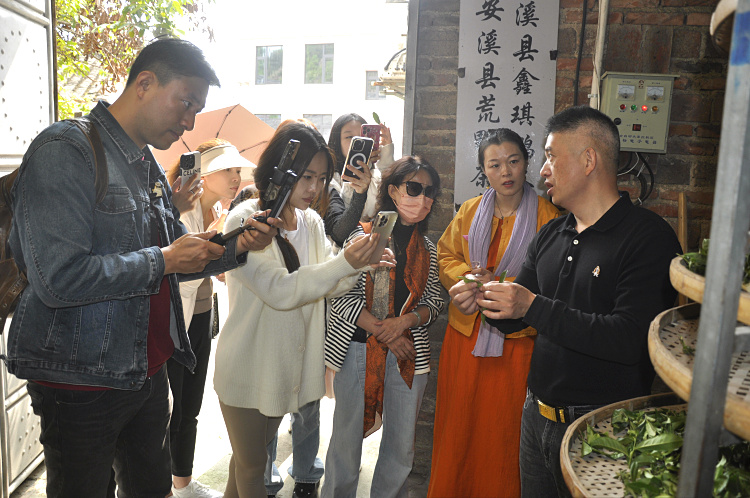 十天精修,成就茶界“六边形战士”(图2) 十天精修,成就茶界“六边形战士”(图2)