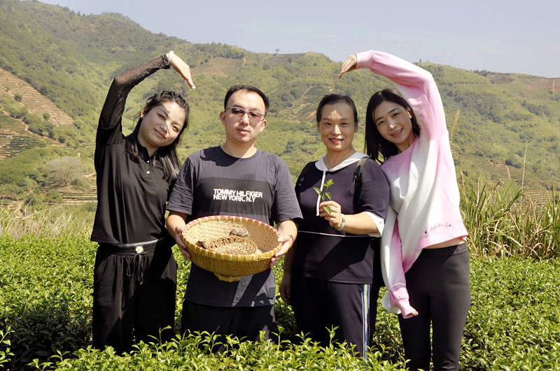 想转行做茶艺师？别被“速成班”忽悠了，来看看什么是真正的“科班出身”(图1)