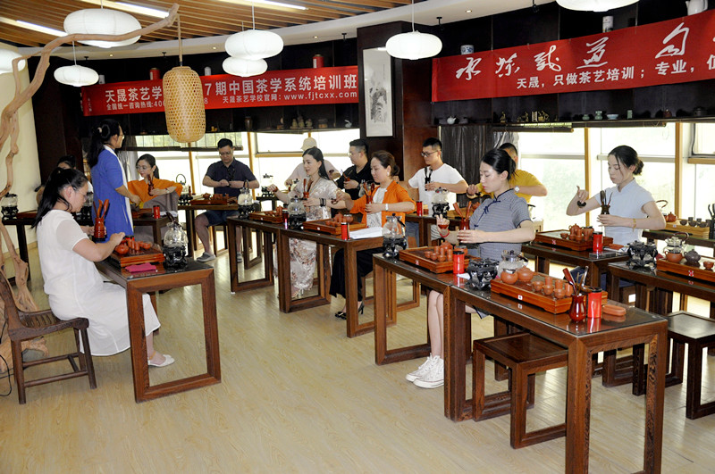 10天闭关，我治好了“茶盲症”：揭秘天晟茶艺的硬核教学 (图1)