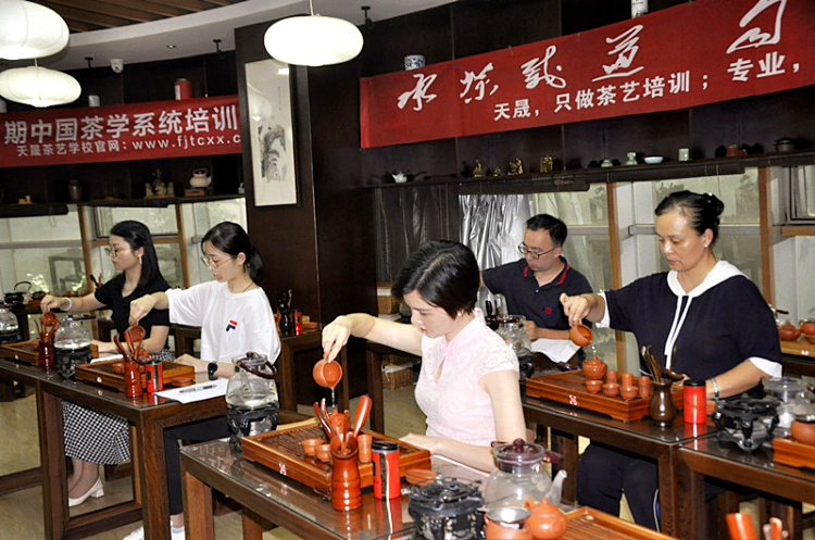 从茶山到茶杯：在天晟，重新定义“学茶”的意义(图1)