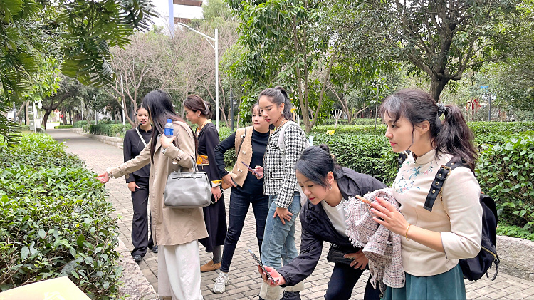 从“茶小白”到“专业茶人”：在天晟的10天，我经历了什么？(图3)