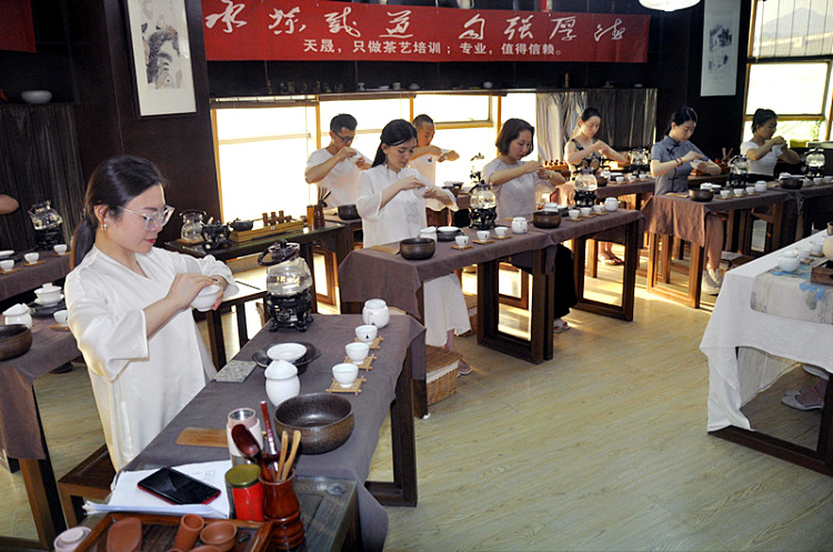10天闭关修炼!在天晟,我如何从“喝茶小白”进阶为“茶界六边形战士”?(图1) 10天闭关修炼!在天晟,我如何从“喝茶小白”进阶为“茶界六边形战士”?(图1)