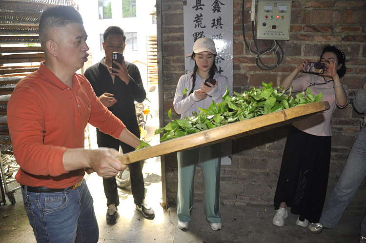 在茶行业干了5年,我还是去了天晟(图4) 在茶行业干了5年,我还是去了天晟(图4)