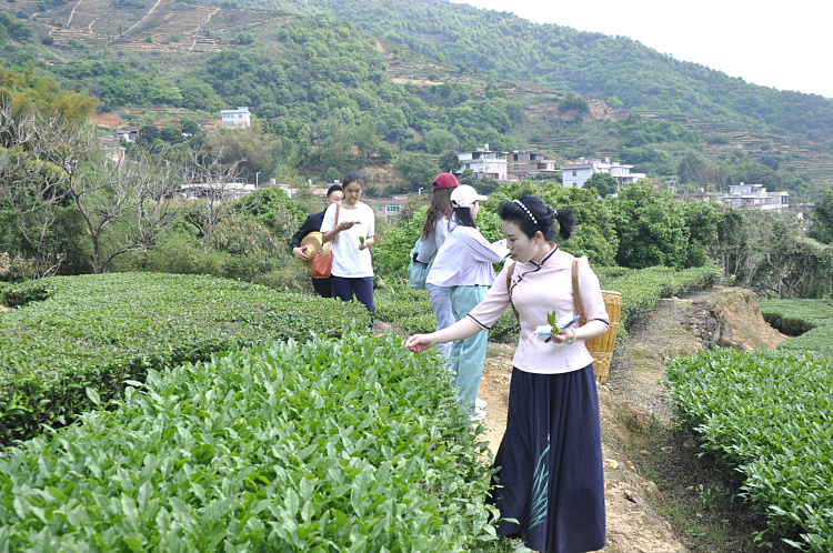 十九年只做一件事：在天晟，重新定义“茶艺师”(图5)