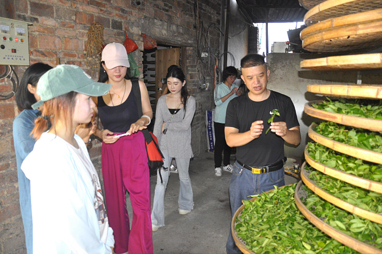 十九年只做一件事：在天晟，重新定义“茶艺师”(图6)