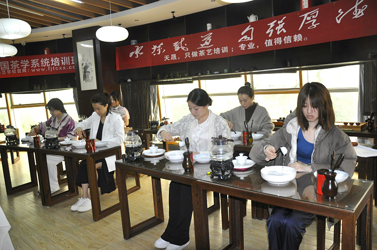 十九年，只做一盏茶的引路人(图2)