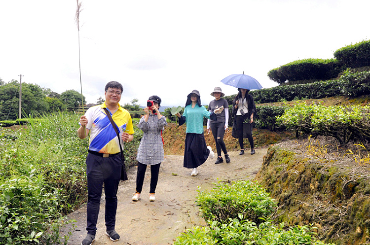 十九年，只做一盏茶的引路人(图4)