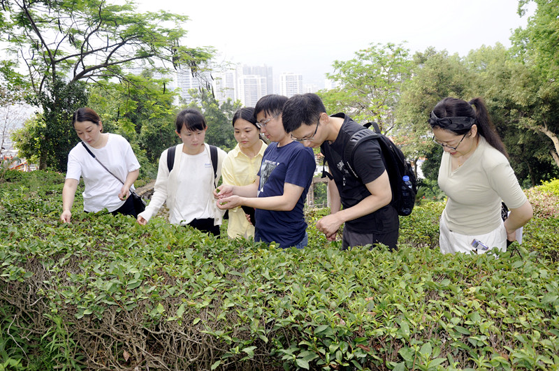从零基础到茶艺师！！(图4)