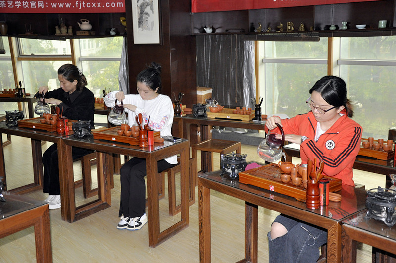 十天重构茶学认知——天晟茶艺培训(图1)