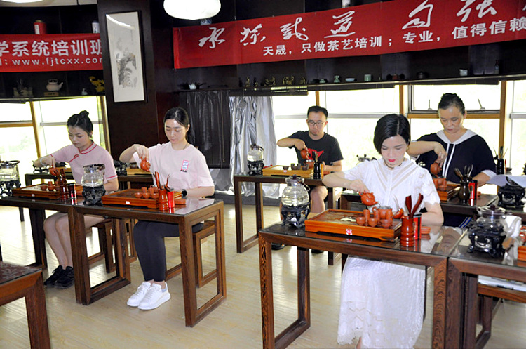 19年只做一件事！天晟茶艺：用10天系统班，重塑真正的茶艺定义(图3)