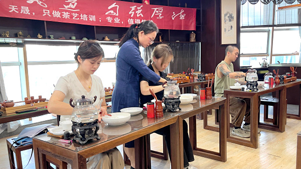 想要专业系统性强的茶艺培训，我强烈建议你了解一下福建安溪的天晟茶艺培训学校。