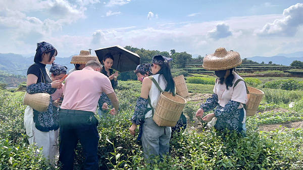 第222期:实践体验安溪乌龙茶制作(图2) 第222期:实践体验安溪乌龙茶制作(图2)