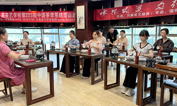 第223期：安溪茶艺之茶具展示学习(图3)