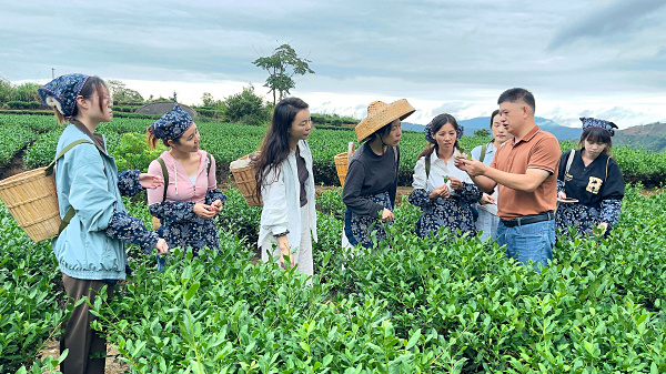 第223期:实践体验安溪乌龙茶制作(图1) 第223期:实践体验安溪乌龙茶制作(图1)