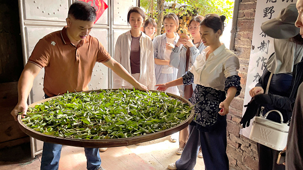 第223期:实践体验安溪乌龙茶制作(图3) 第223期:实践体验安溪乌龙茶制作(图3)