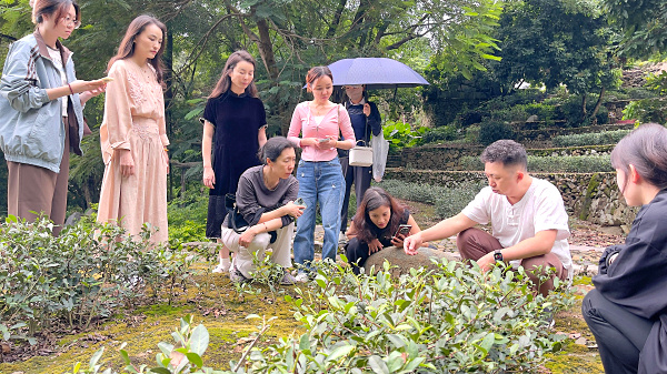 第223期:参观茶叶大观园(图2) 第223期:参观茶叶大观园(图2)